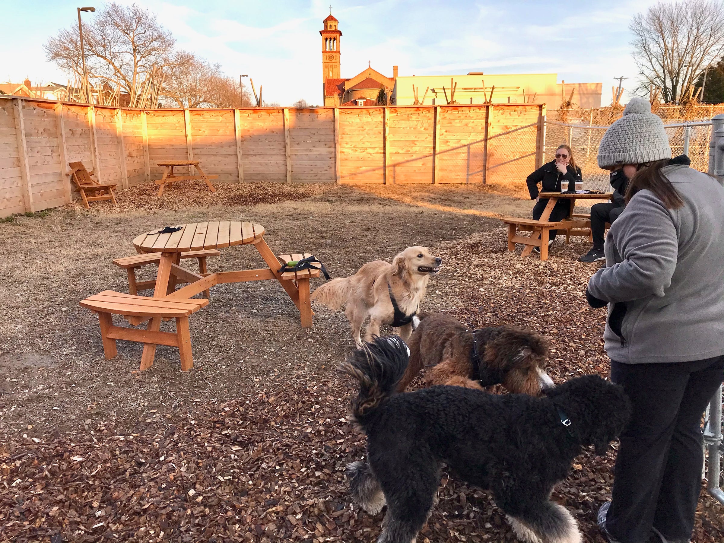 The Wagamama - Animal Lover's Boutique & Cafe | Zoomies Pet Cafe